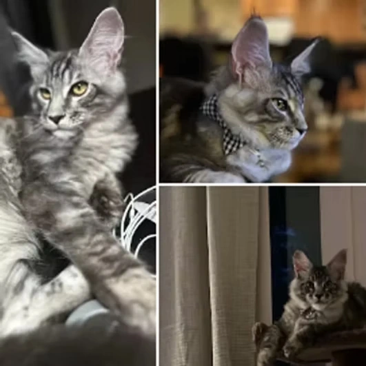 Our Clients Say - Danielle Comb