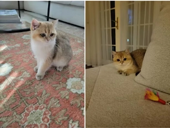 Our Clients Say - Georgiy Victoria Nikitin